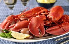 main-lobsters