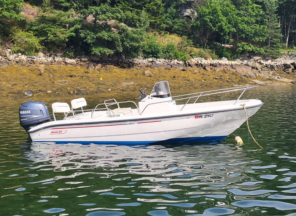 Photo of 18' Dauntless Rental Boat